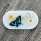 Trinket Dish - Blue Butterfly
